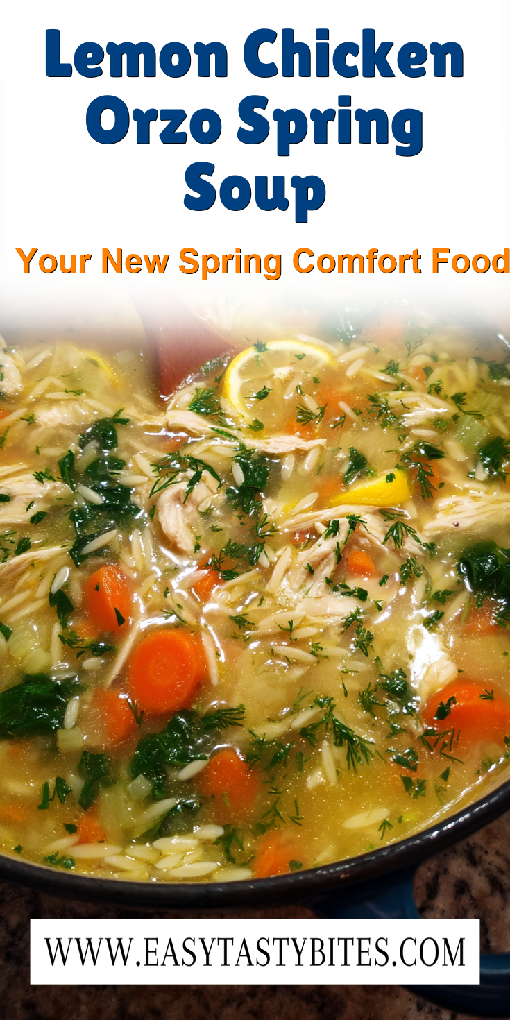 Lemon Chicken Orzo Spring Soup served warm with cozy spices