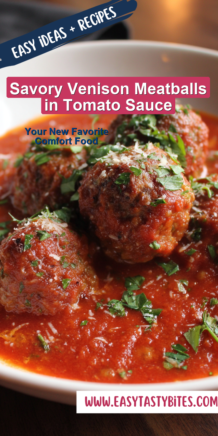 Savory Venison Meatballs in Tomato Sauce served warm with cozy spices