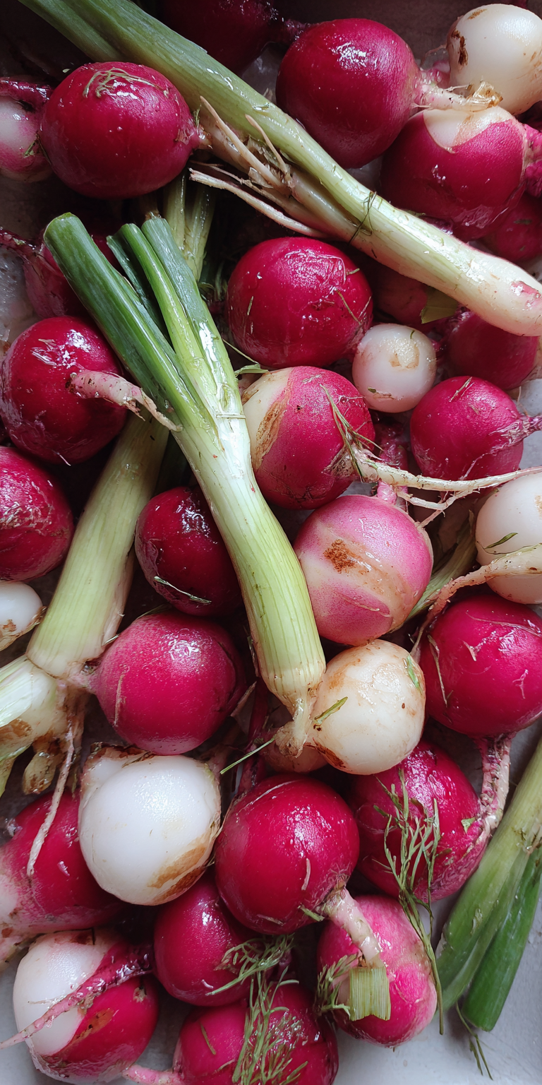 Roasted Radish Creamy Spring Soup served warm with cozy spices