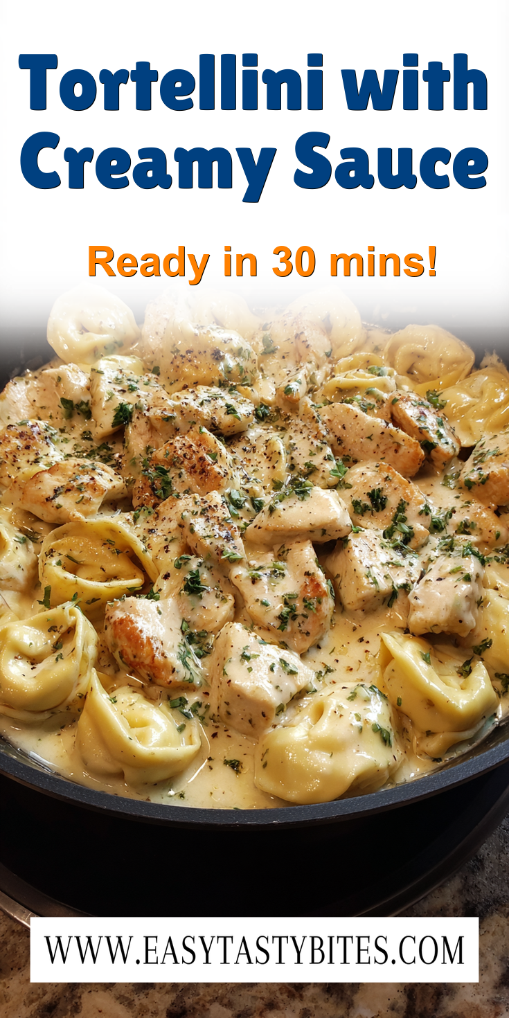 Tortellini with Creamy Sauce served on a plate